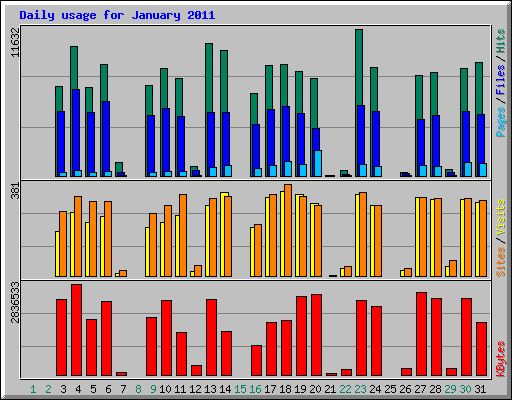 Daily usage for January 2011