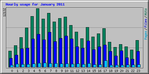 Hourly usage for January 2011